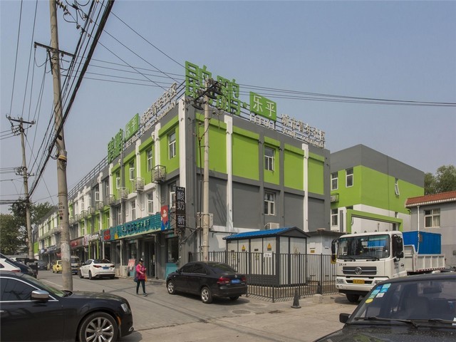 南通古琴有哪些品牌